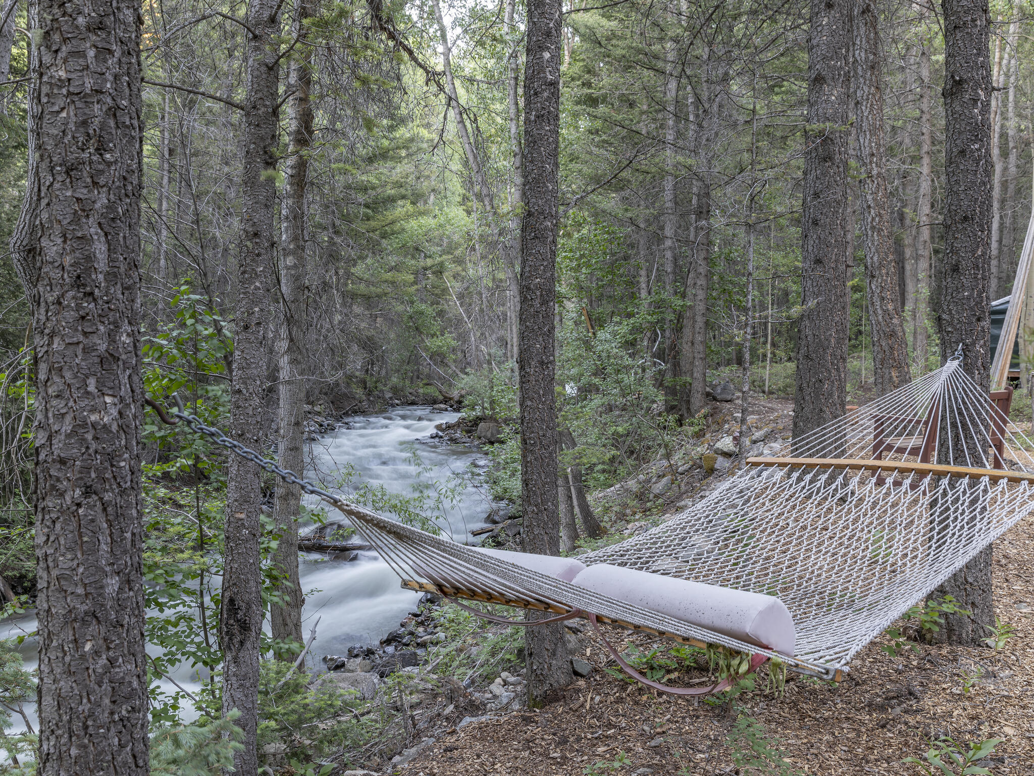 226 Lake Fork Junction Road Ophir, CO 81426 - Photo 29 of 31 a view of a yard from a balcony
