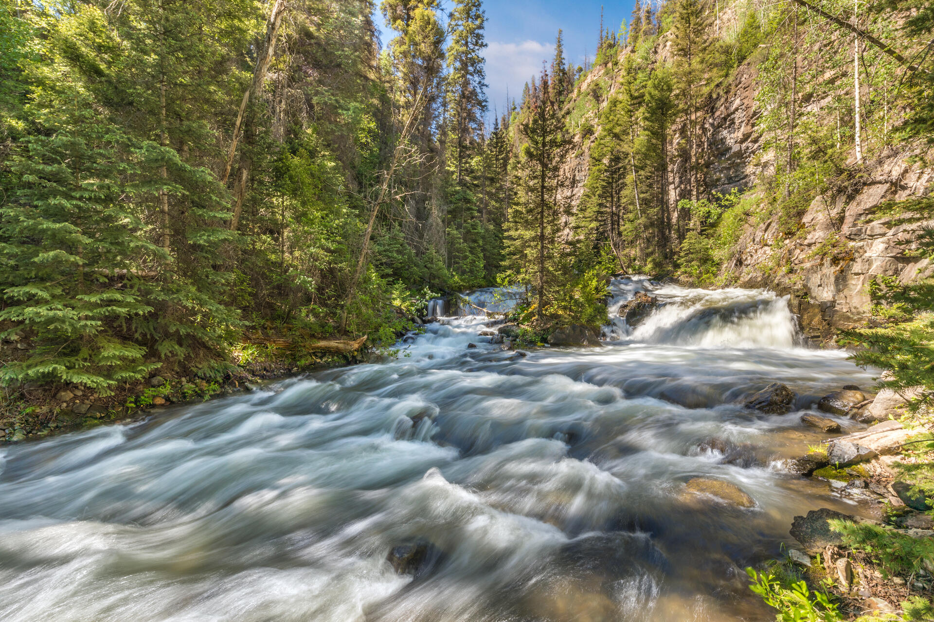 226 Lake Fork Junction Road Ophir, CO 81426 - Photo 3 of 31 a view of a field with trees in the background