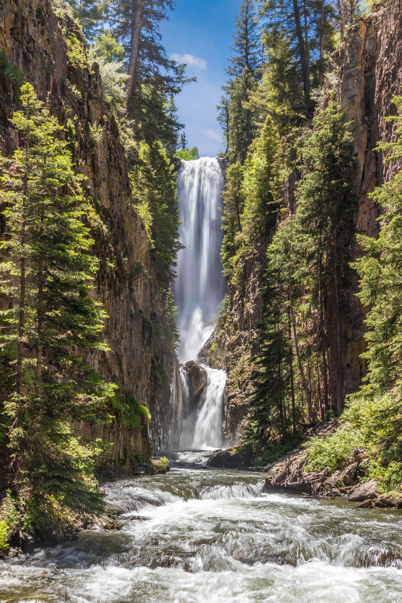 226 Lake Fork Junction Road Ophir, CO 81426 - Photo 31 of 31 a view of a house with a yard and large tree