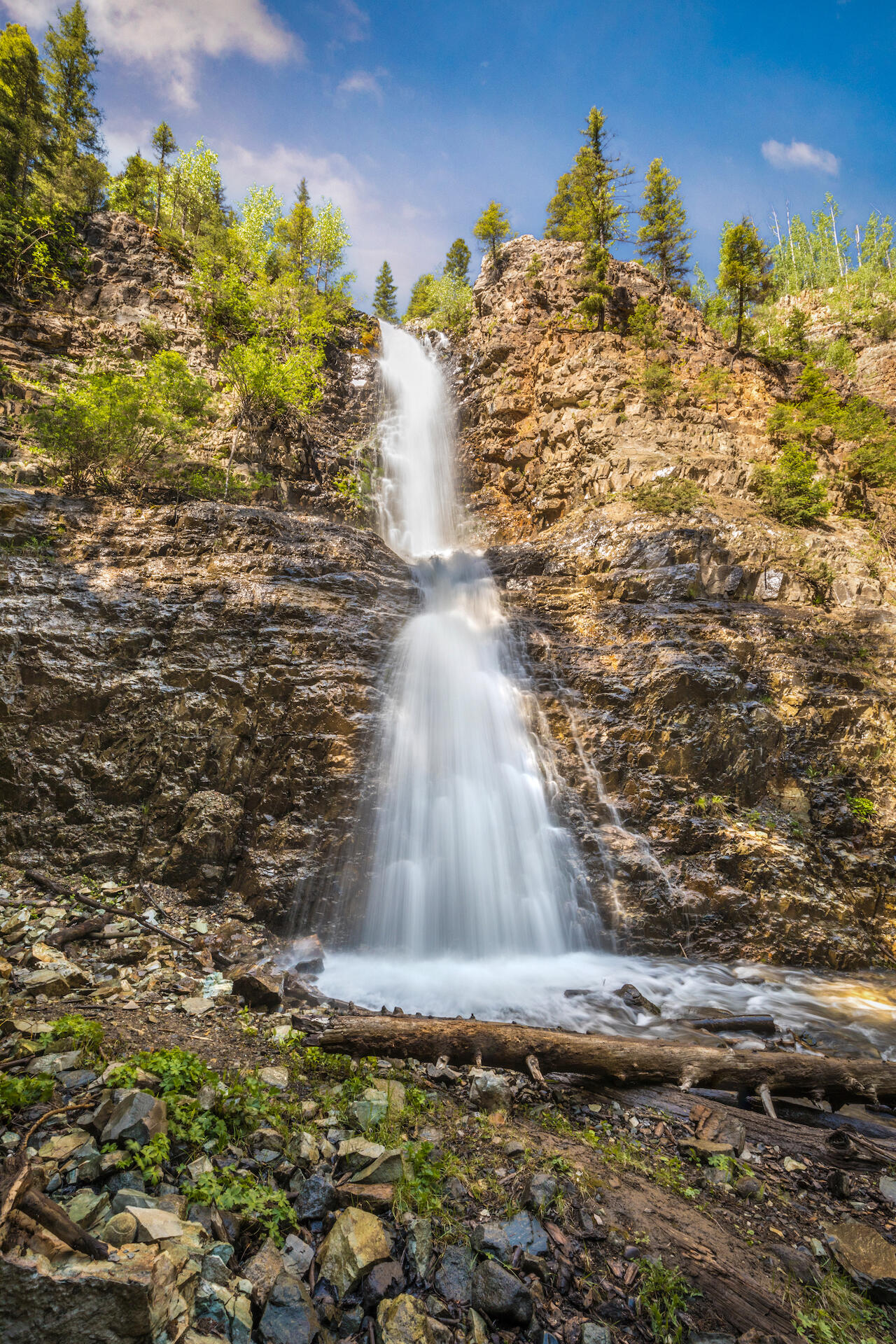 226 Lake Fork Junction Road Ophir, CO 81426 - Photo 5 of 31