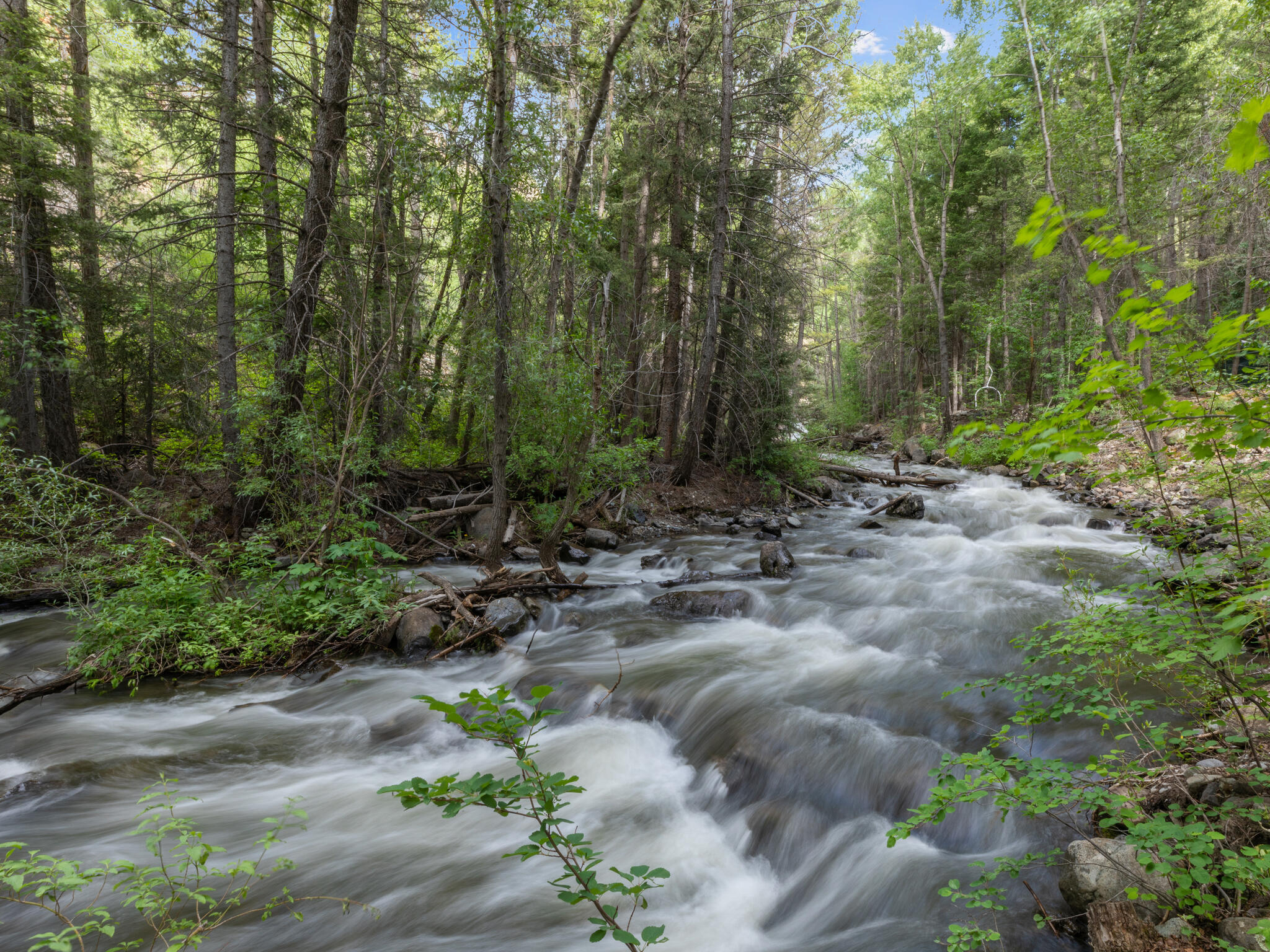 226 Lake Fork Junction Road Ophir, CO 81426 - Photo 7 of 31 a view of outdoor space and yard