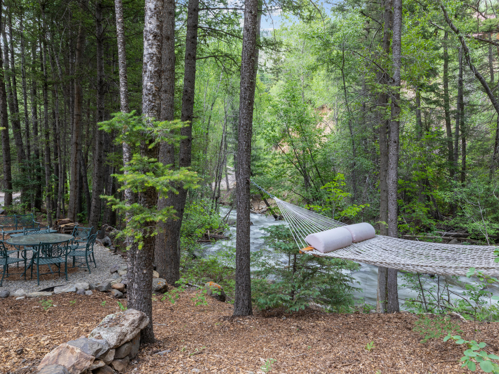 226 Lake Fork Junction Road Ophir, CO 81426 - Photo 10 of 31 a view of a backyard with plants and outdoor seating