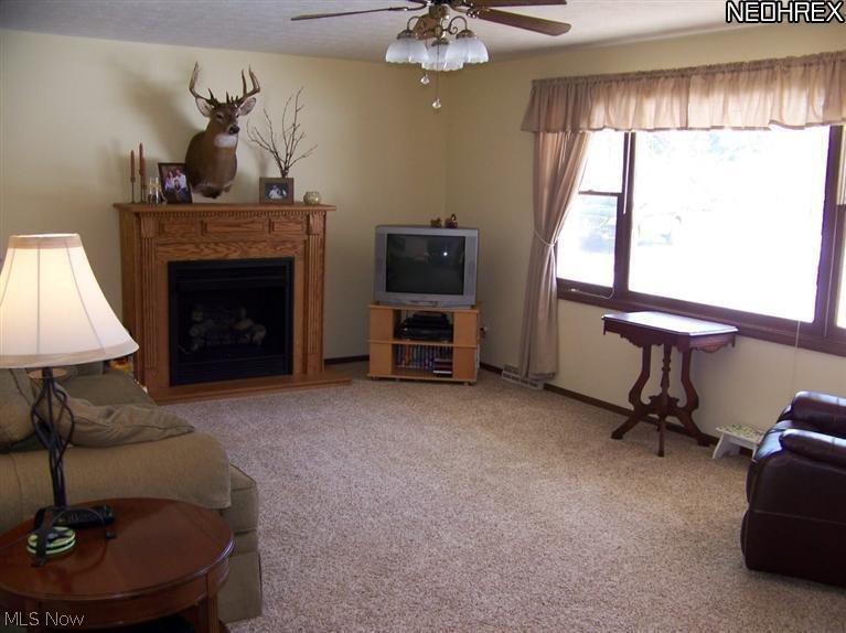 9135 Coon Club Road Medina, OH 44256 - Photo 2 of 21 Living room