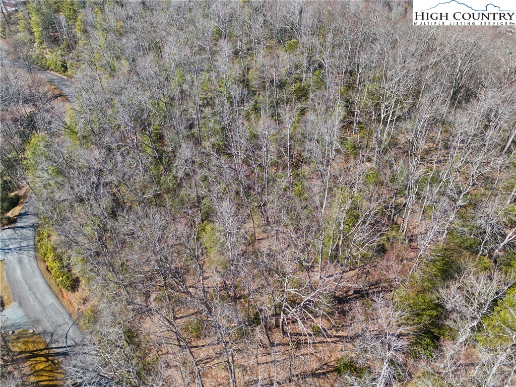Brown Mountain Ridge Road Blowing Rock, NC 28605 - Photo 13 of 17 Gallery Image 13