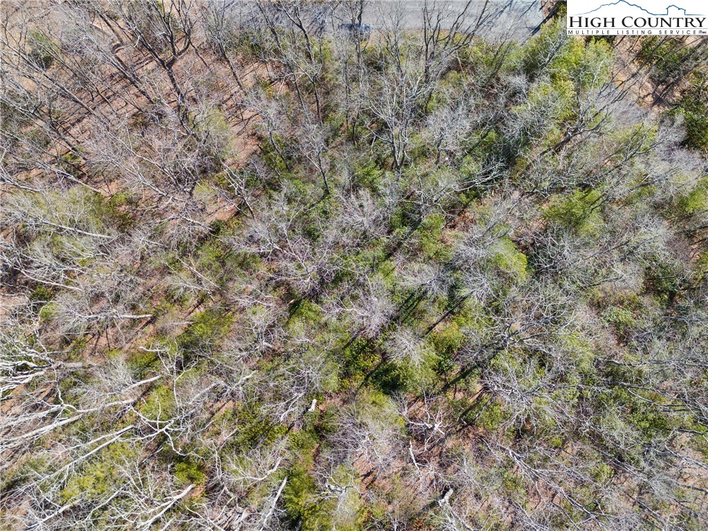 Brown Mountain Ridge Road Blowing Rock, NC 28605 - Photo 14 of 17 Gallery Image 14