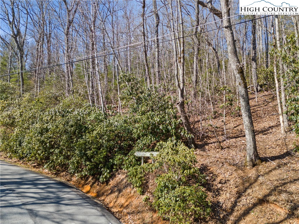 Brown Mountain Ridge Road Blowing Rock, NC 28605 - Photo 3 of 17 Gallery Image 3