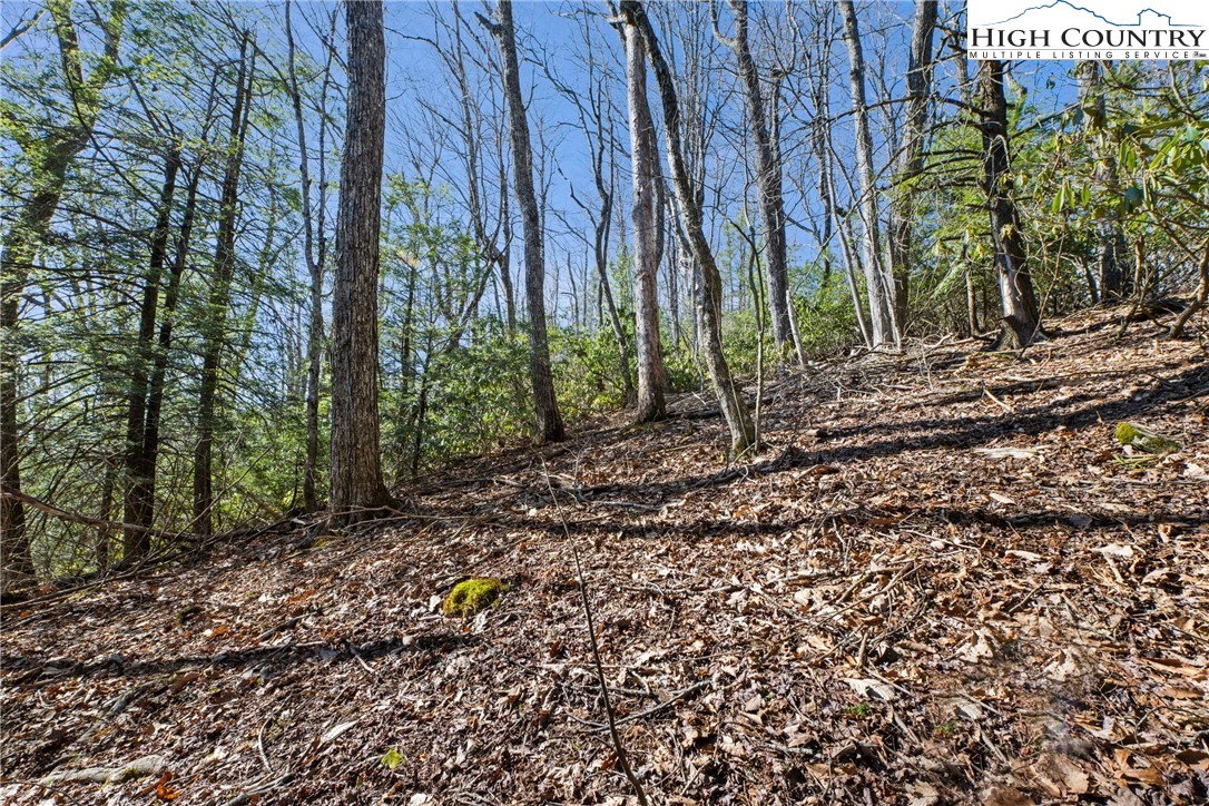 Brown Mountain Ridge Road Blowing Rock, NC 28605 - Photo 5 of 17 Gallery Image 5