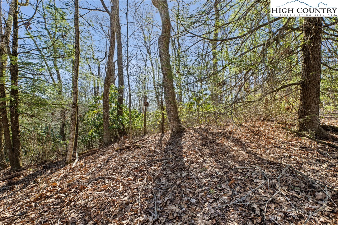 Brown Mountain Ridge Road Blowing Rock, NC 28605 - Photo 6 of 17 Gallery Image 6