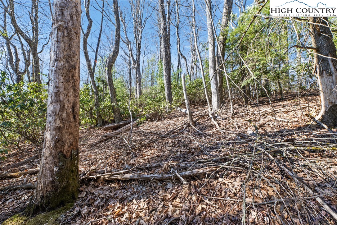 Brown Mountain Ridge Road Blowing Rock, NC 28605 - Photo 8 of 17 Gallery Image 8