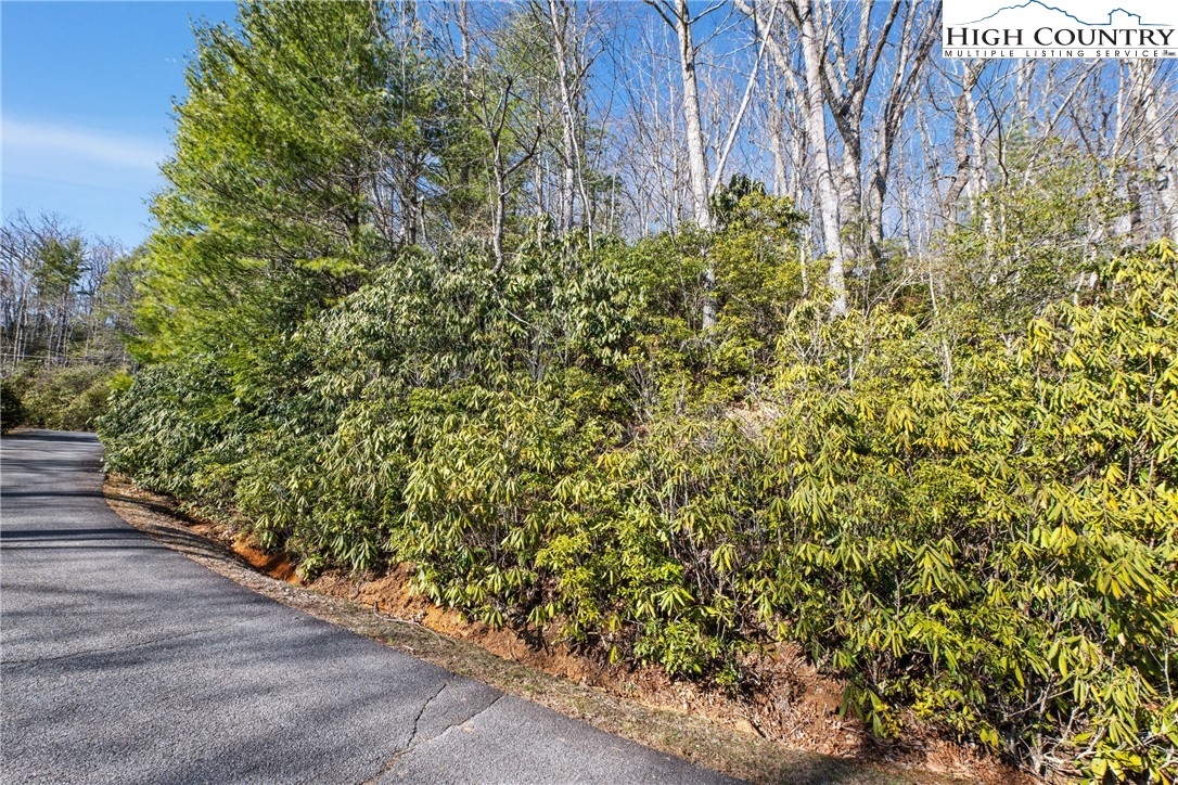 Brown Mountain Ridge Road Blowing Rock, NC 28605 - Photo 10 of 17 Gallery Image 10