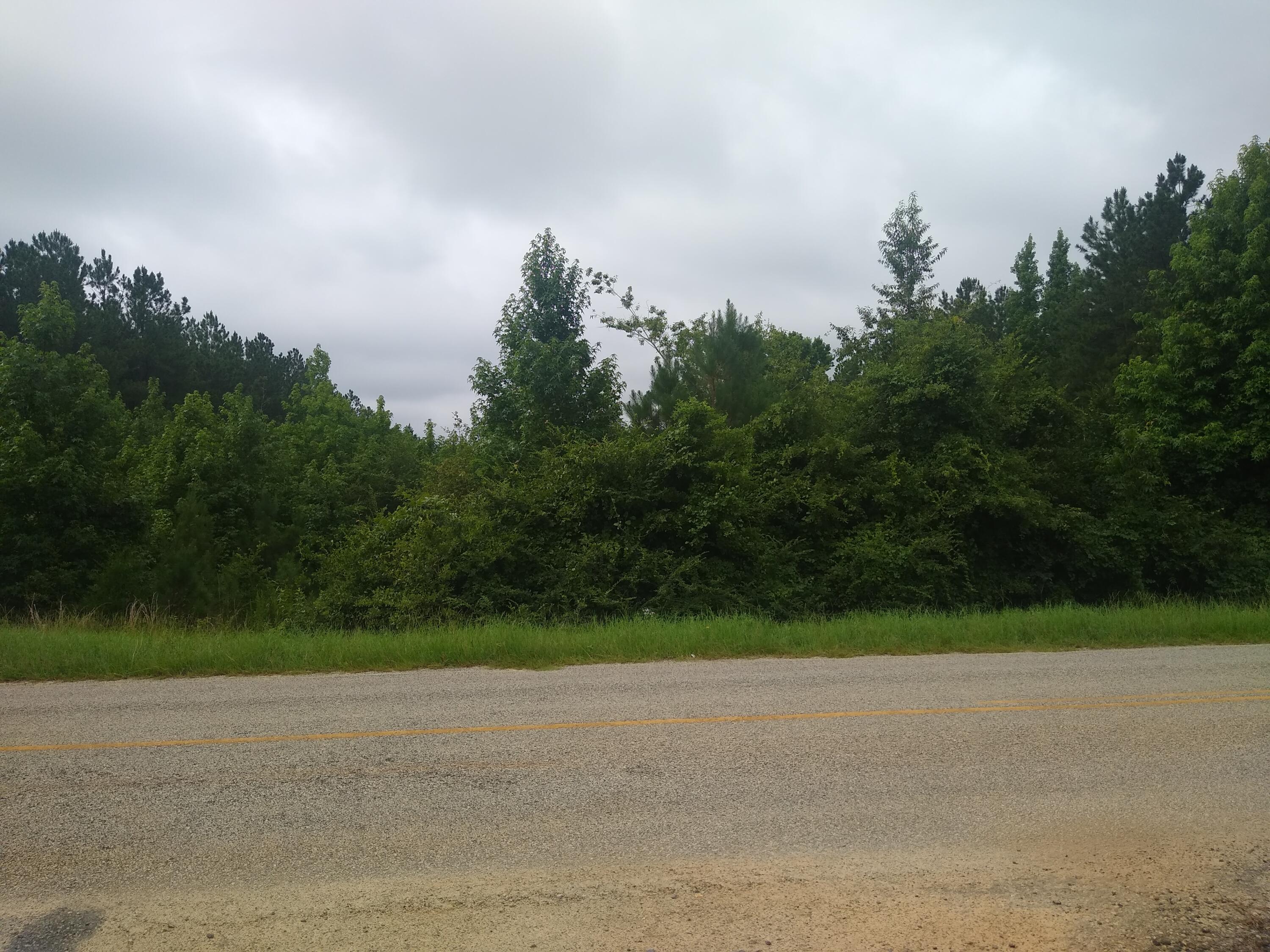 3 Mark Walden Road Blythe, GA 30805 - Photo 2 of 5