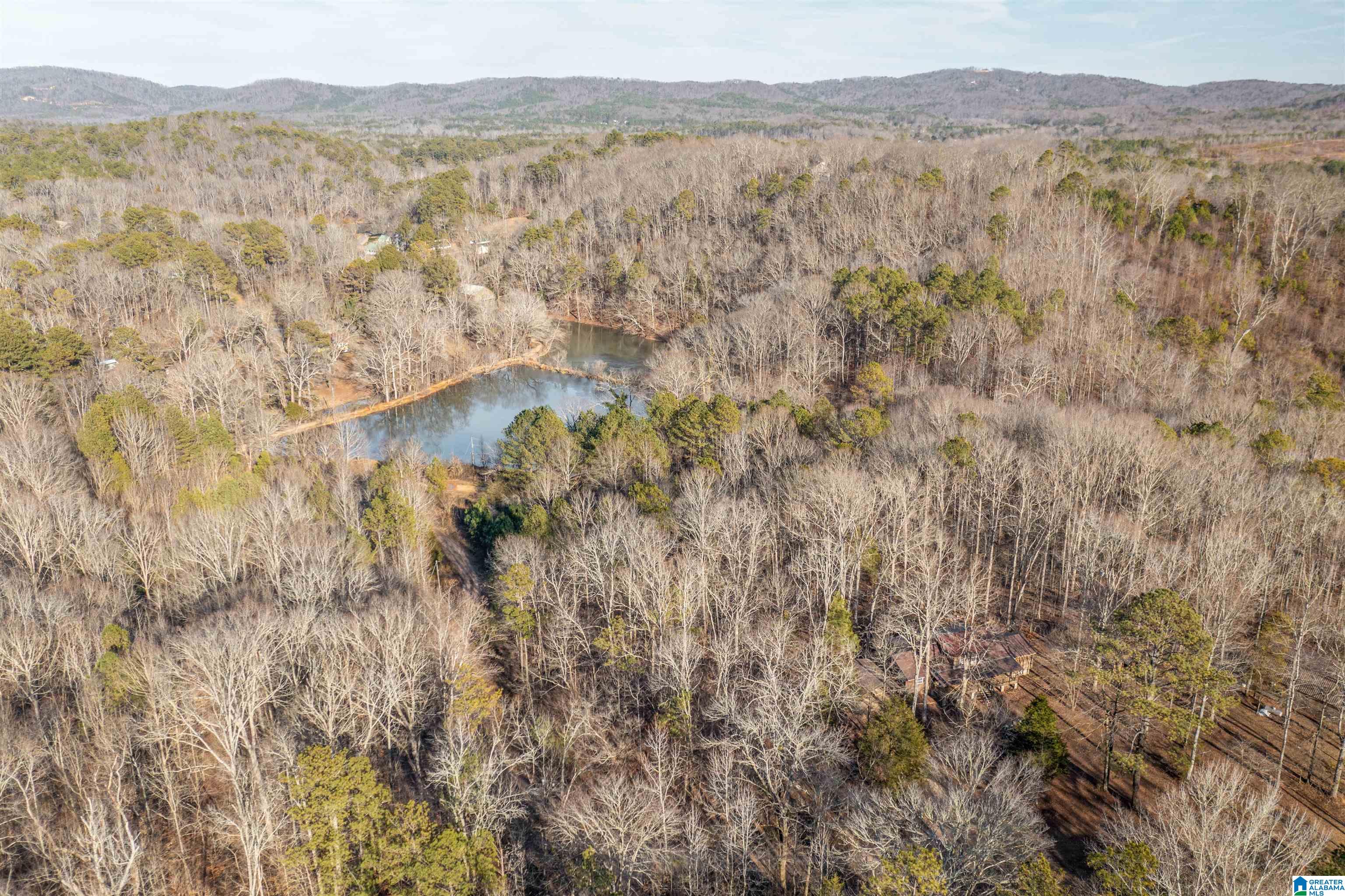 487 Aderholdt Mill Road Jacksonville, AL 36265 - Photo 12 of 34