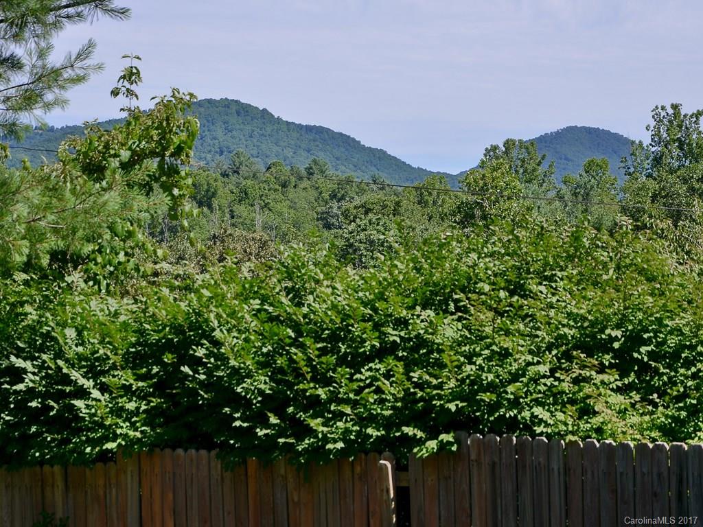 9 Hickory Tree Road Asheville, NC 28805 - Photo 3 of 18 Gallery Image 3