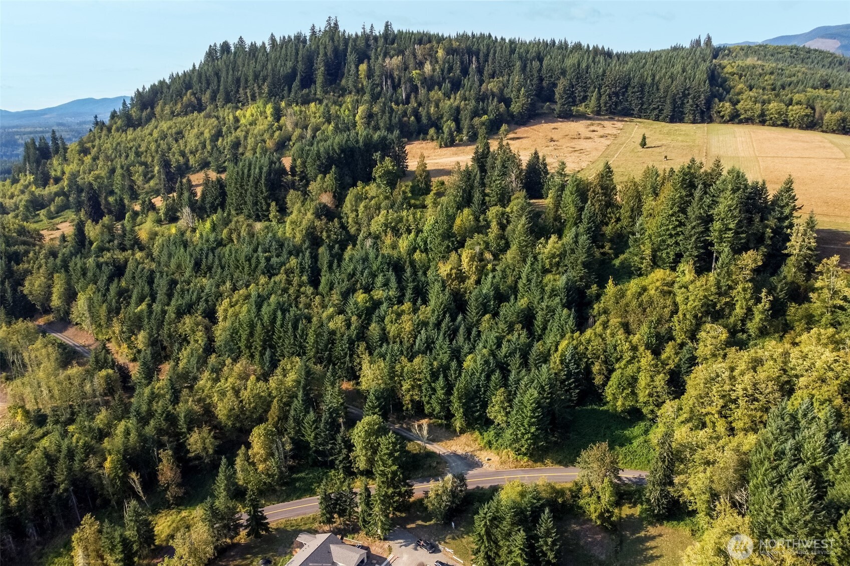 189 Kjesbu Road Silver Creek, WA 98585 - Photo 16 of 17 a view of a bunch of trees and bushes