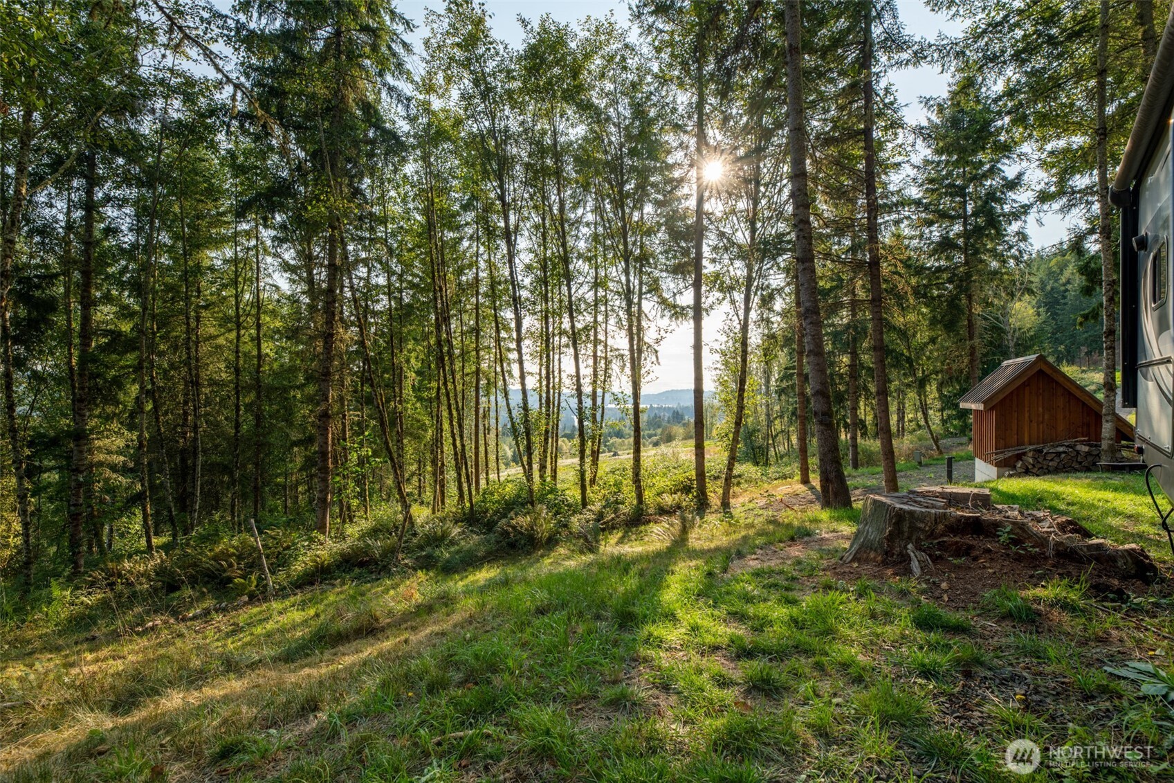 189 Kjesbu Road Silver Creek, WA 98585 - Photo 2 of 17 a view of backyard with a barn and large trees