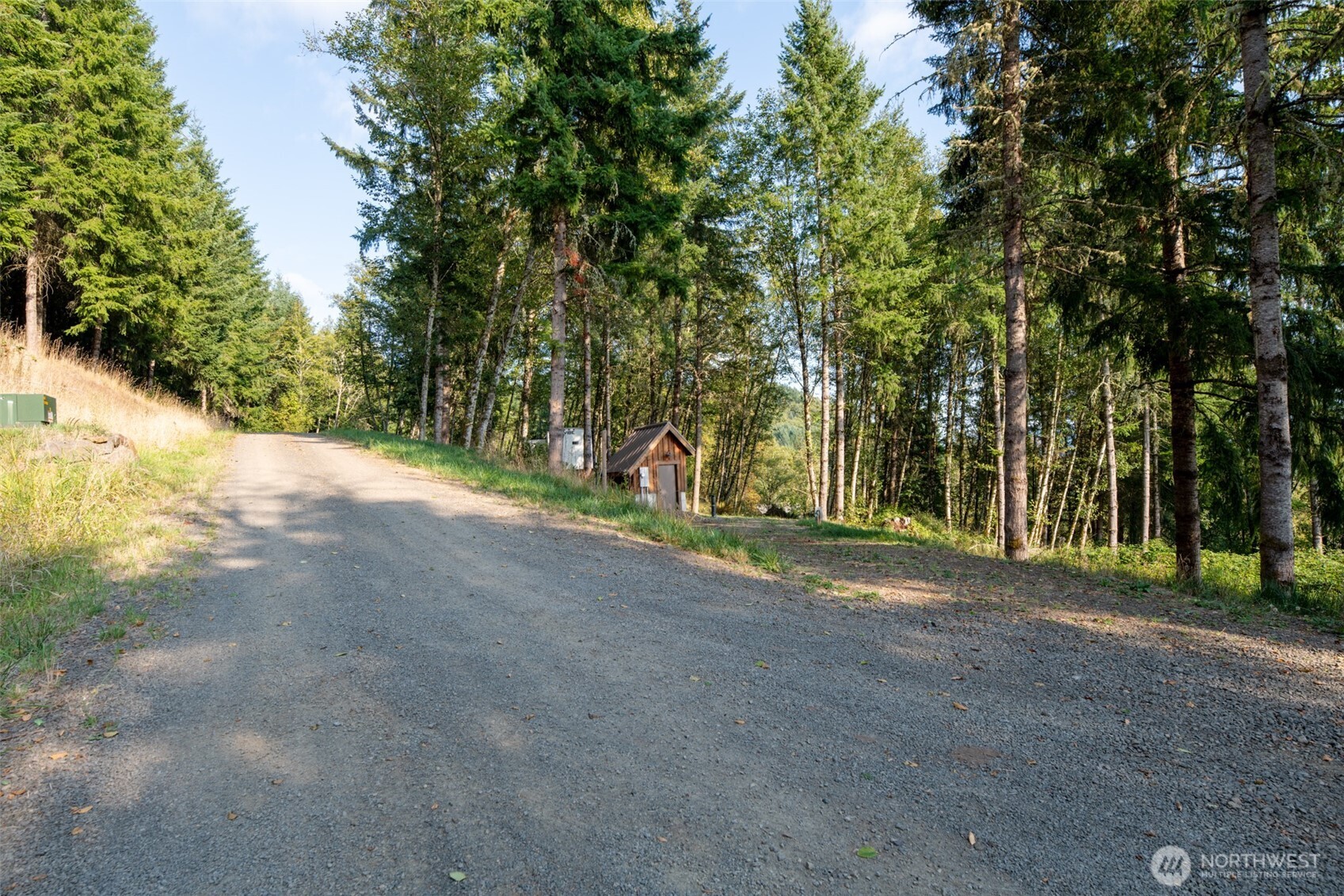 189 Kjesbu Road Silver Creek, WA 98585 - Photo 4 of 17 a view of road and trees