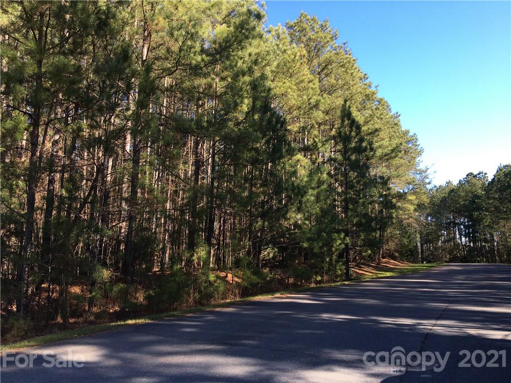 3 Clearview Point Great Falls, SC 29055 - Photo 6 of 9