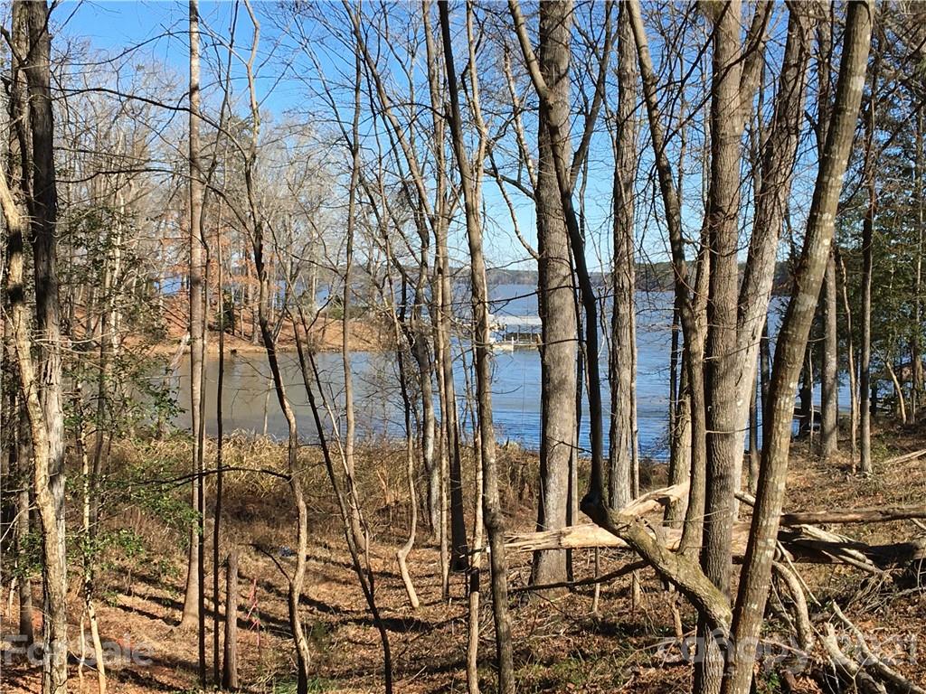 3 Clearview Point Great Falls, SC 29055 - Photo 8 of 9