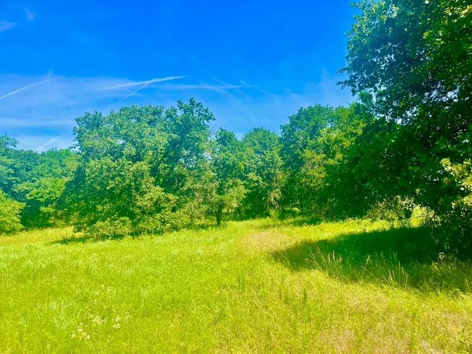Lot 98 Arlow Road Poolville, TX 76487 - Photo 3 of 3 View of nature