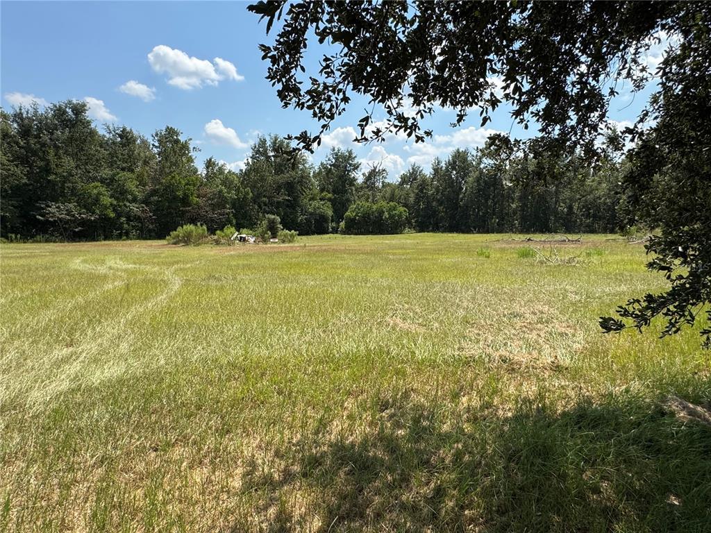 6001 185th Road Live Oak, FL 32060 - Photo 75 of 79