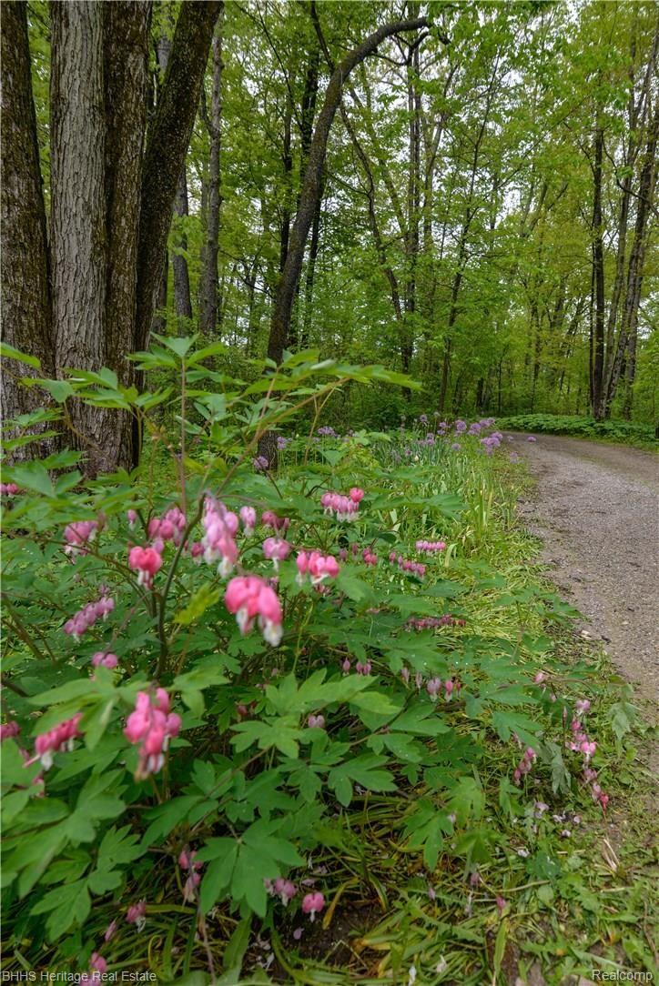 1264 North Kellogg Road Howell, MI 48843 - Photo 52 of 57 Flowers Everwhere