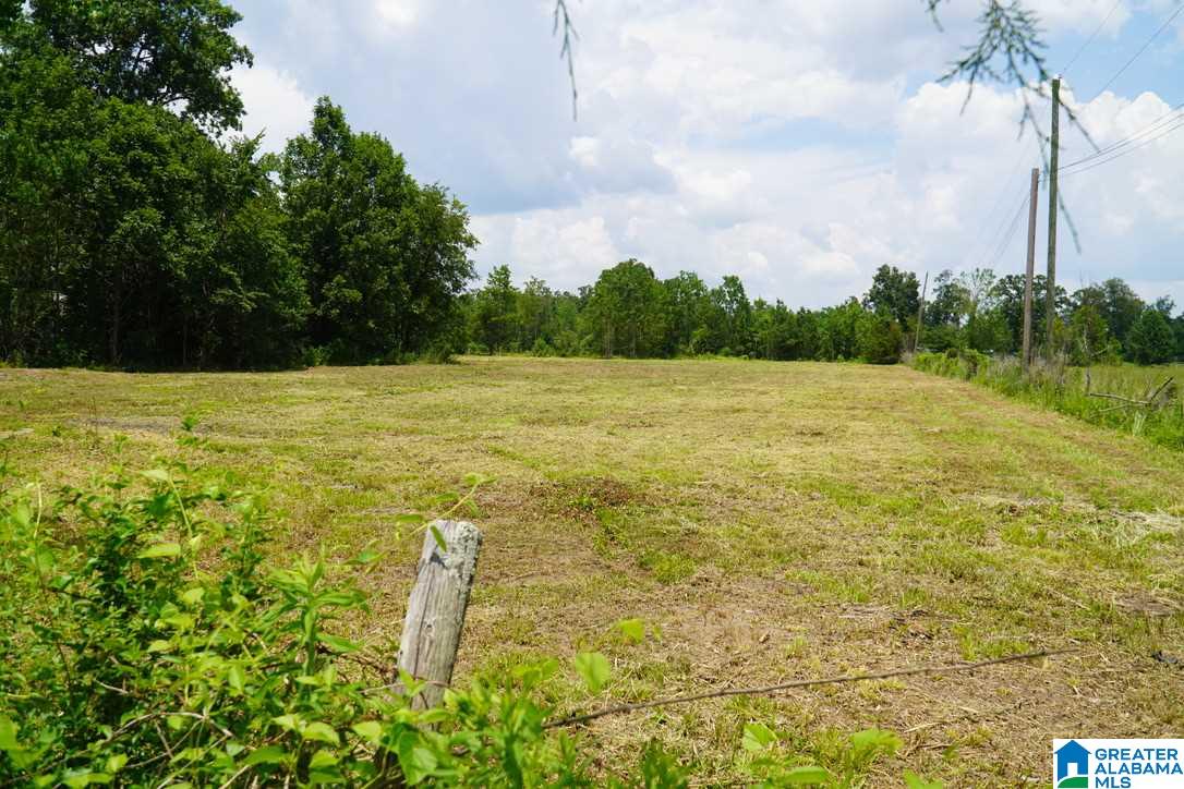 7952 Kimbrell Cutoff Road McCalla, AL 35111 - Photo 9 of 41