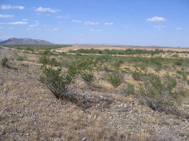 0 North Ralston Road, Unit 19 Maricopa, AZ 85139 - Photo 1 of 5 Primary Photo