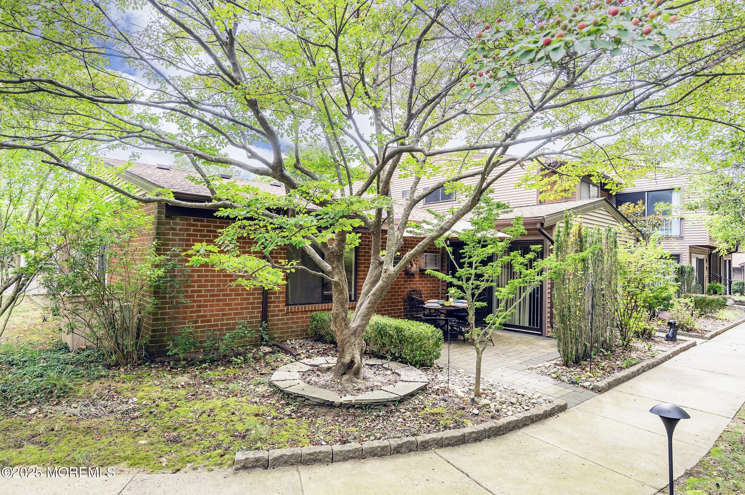 a wooden bench sitting in front of a tree