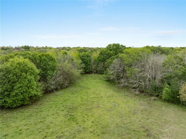 a view of a field of grass and trees