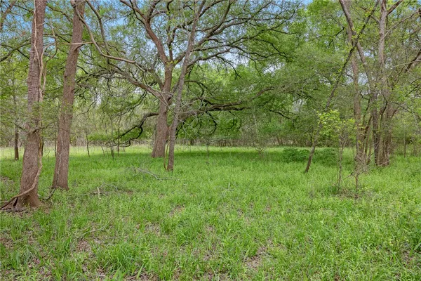 a view of outdoor space with trees all around