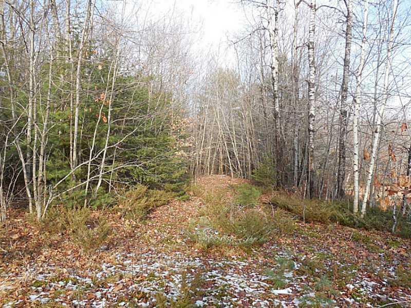 938 Edes Falls Road Harrison, ME 04040 - Photo 25 of 29 Land.