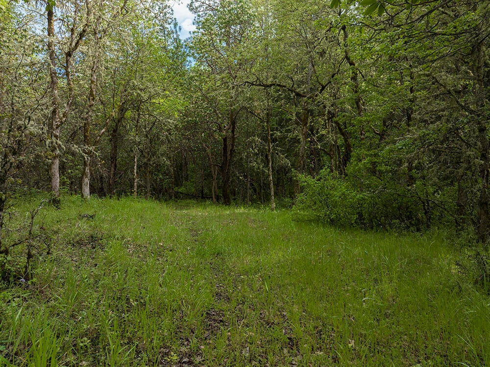 3336 Wards Creek Road Rogue River, OR 97537 - Photo 33 of 35 Acreage across the road from the home.