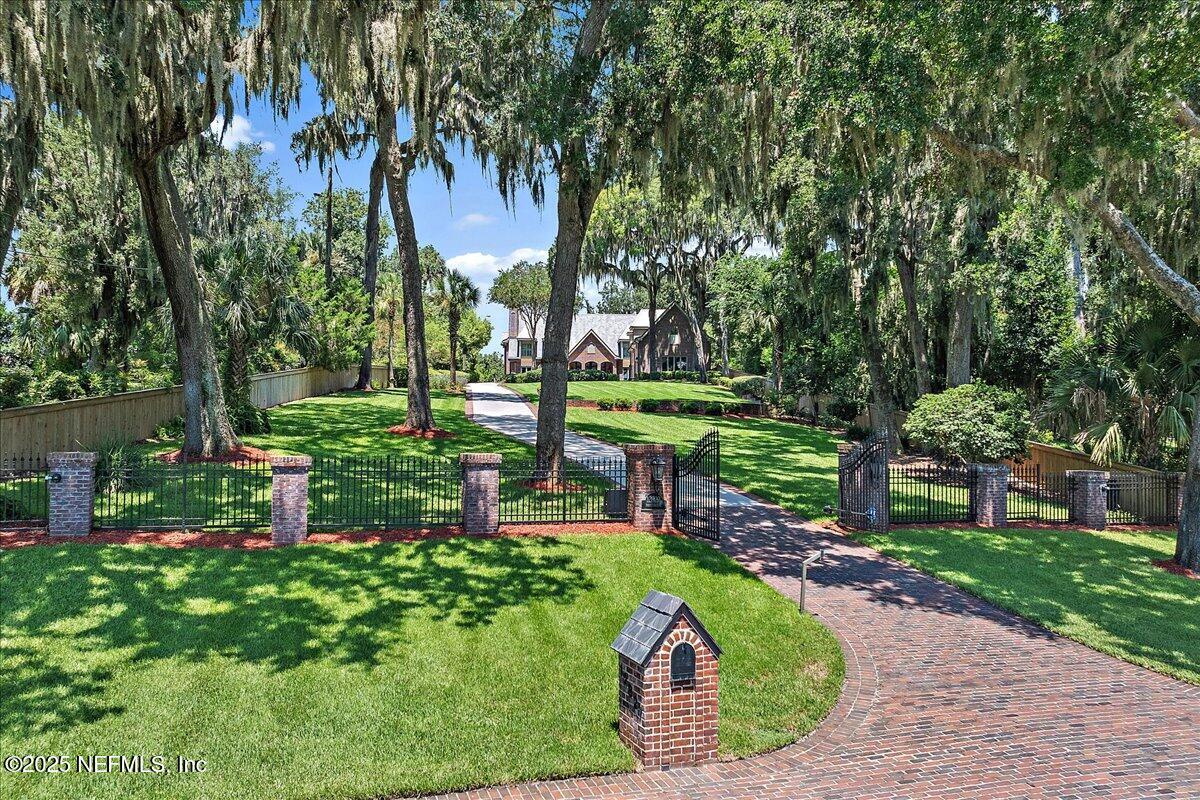 a view of a park with large trees