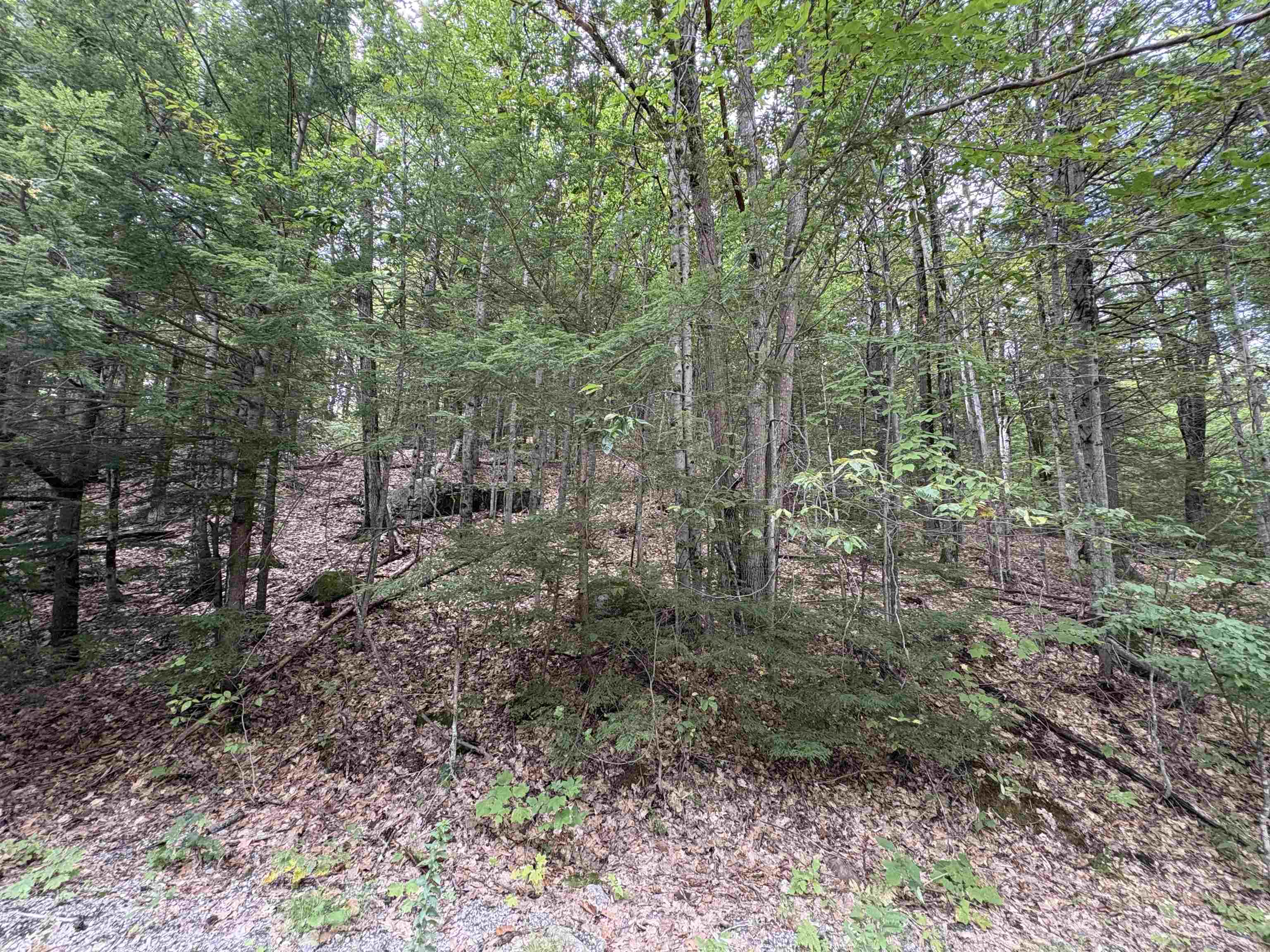 Craig Road, Unit 3 Antrim, NH 03440 - Photo 13 of 13 Gallery Image 13