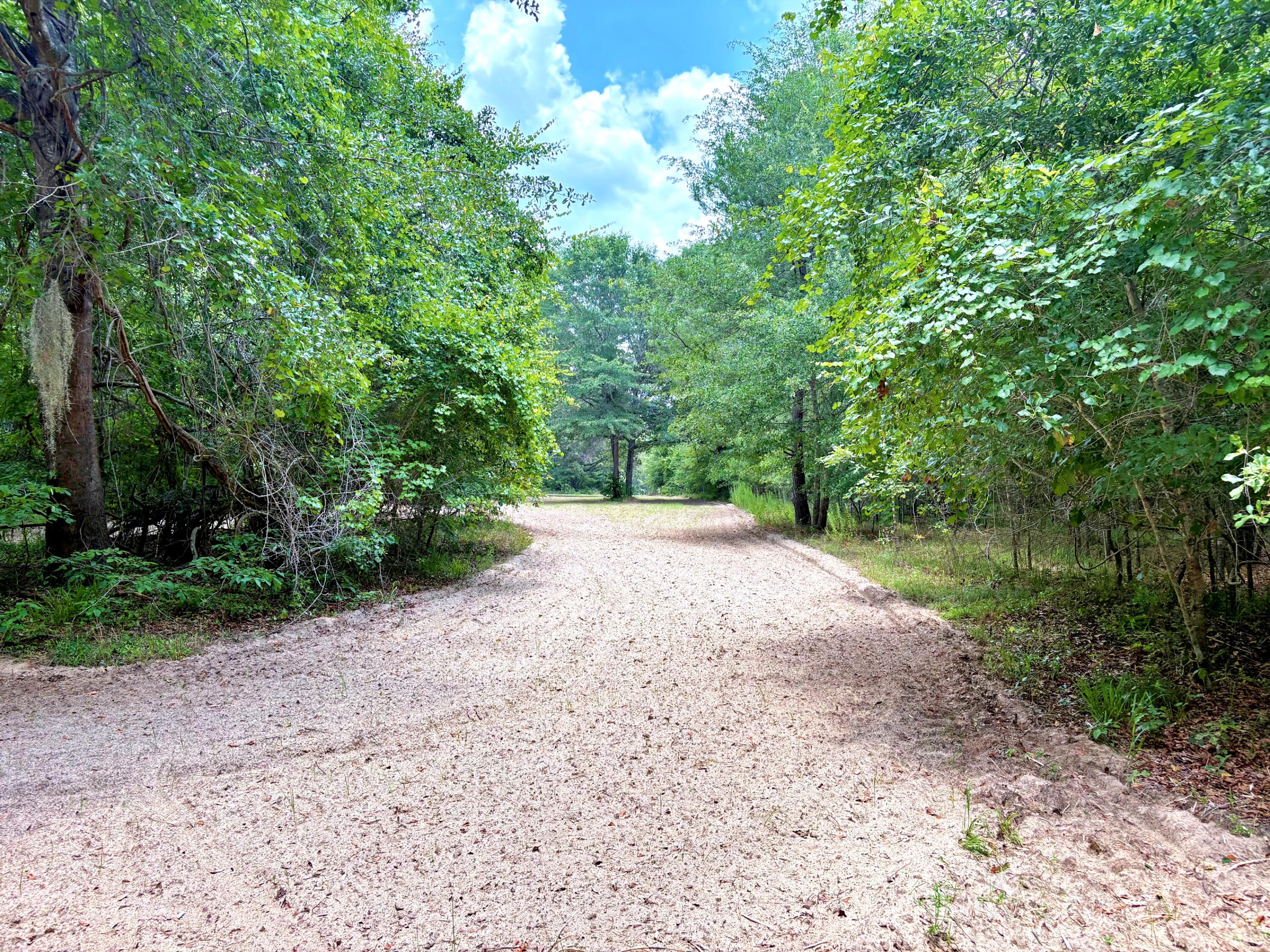 7998 Kenwood Road Greeleyville, SC 29056 - Photo 12 of 52 batch_IMG_0620