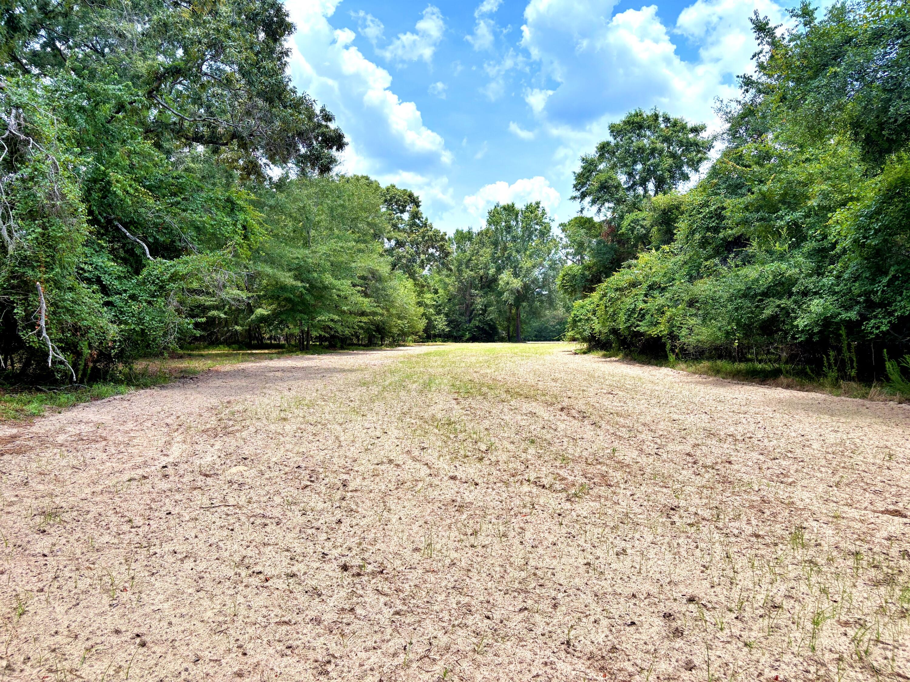 7998 Kenwood Road Greeleyville, SC 29056 - Photo 13 of 52 batch_IMG_0621