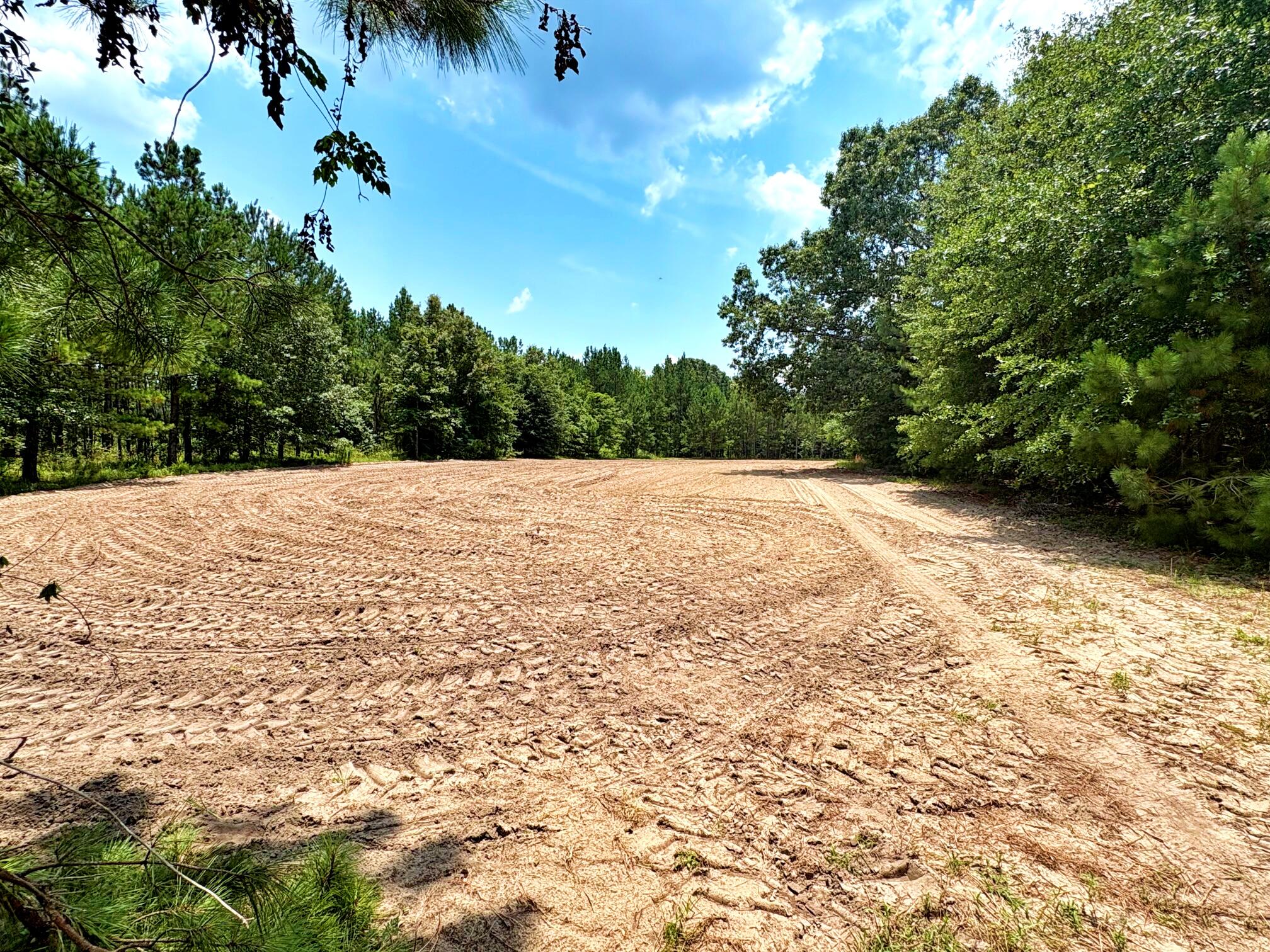 7998 Kenwood Road Greeleyville, SC 29056 - Photo 18 of 52 batch_IMG_0626