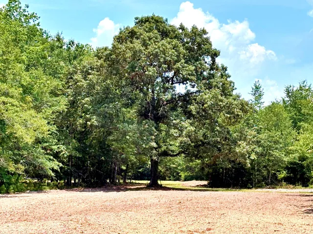 $1,280,500 | 7998 Kenwood Road, Greeleyville, SC 29056