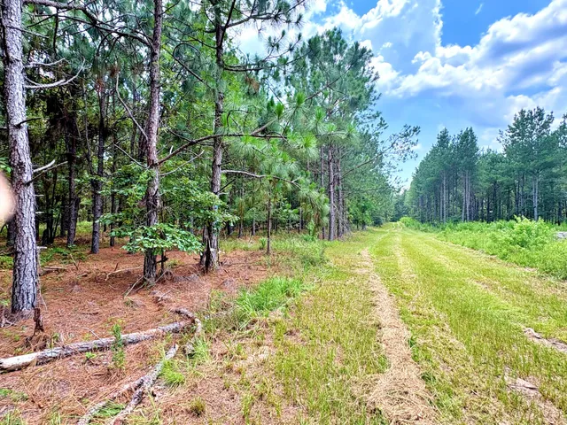 $1,280,500 | 7998 Kenwood Road, Greeleyville, SC 29056