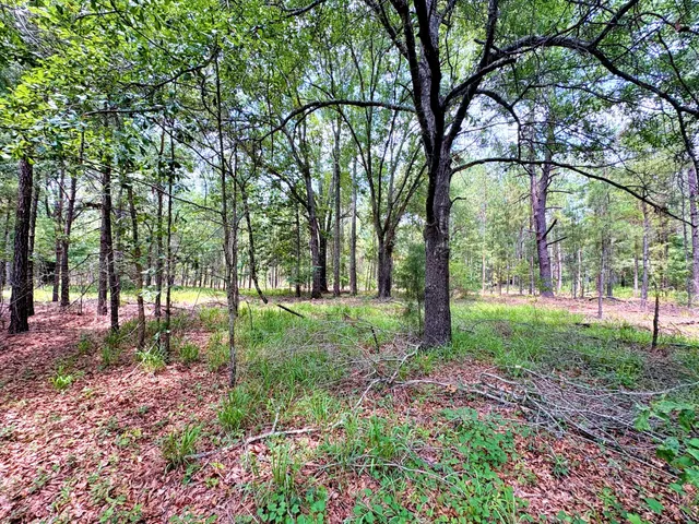 $1,280,500 | 7998 Kenwood Road, Greeleyville, SC 29056