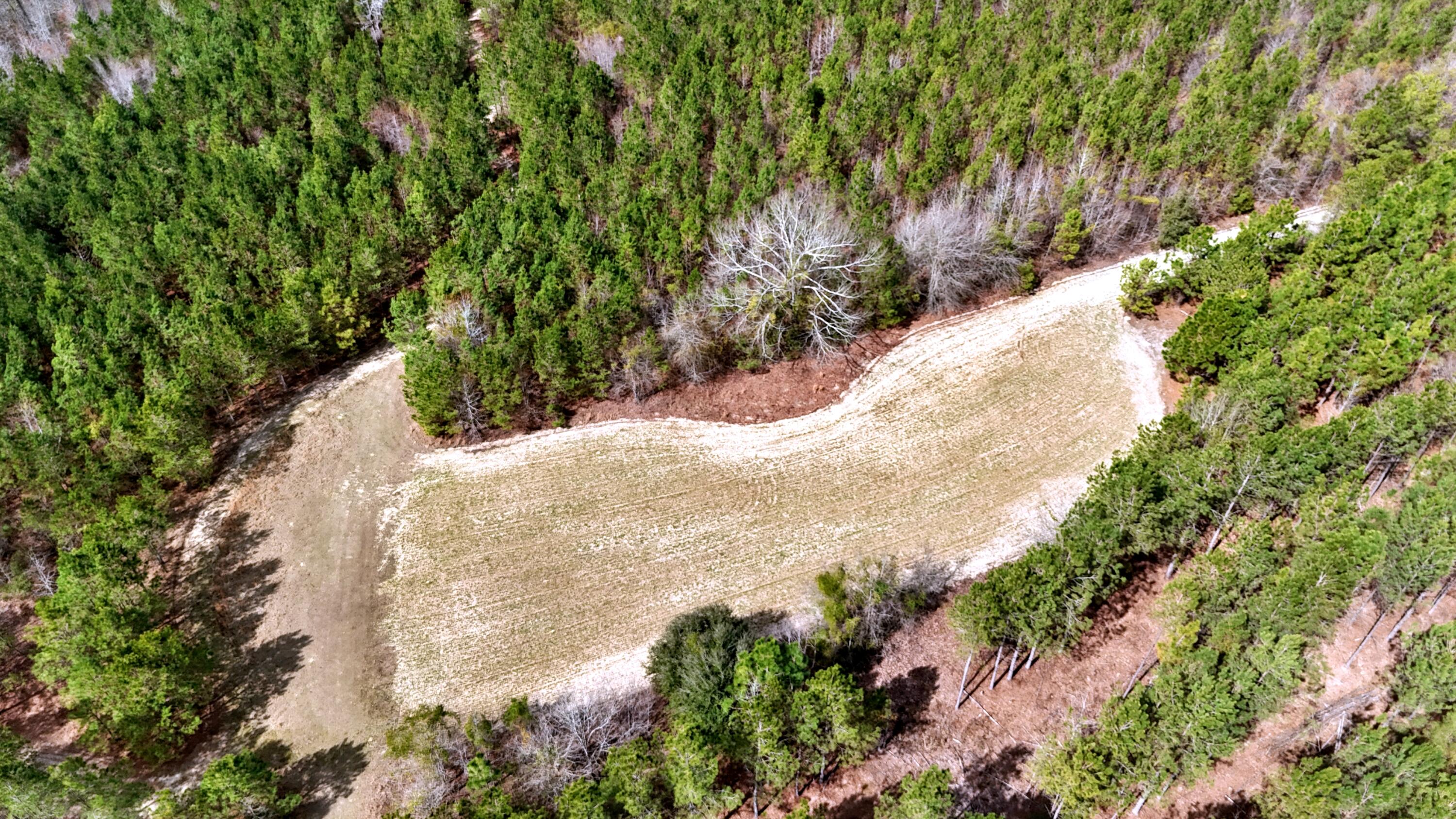 7998 Kenwood Road Greeleyville, SC 29056 - Photo 3 of 52 4