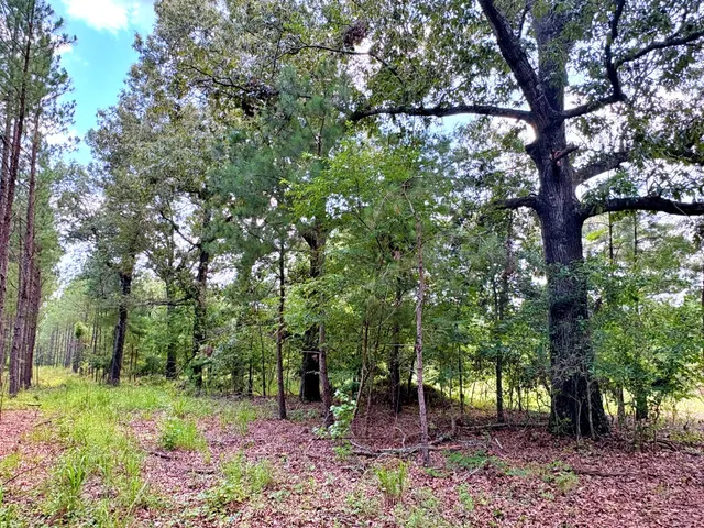 $1,280,500 | 7998 Kenwood Road, Greeleyville, SC 29056