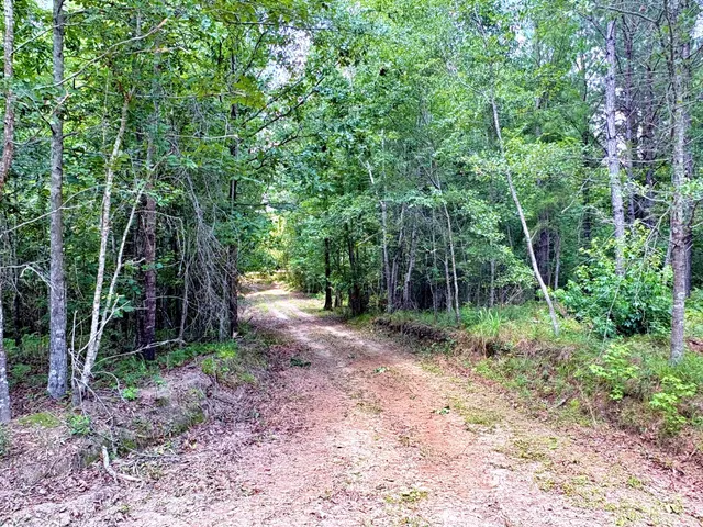 $1,280,500 | 7998 Kenwood Road, Greeleyville, SC 29056