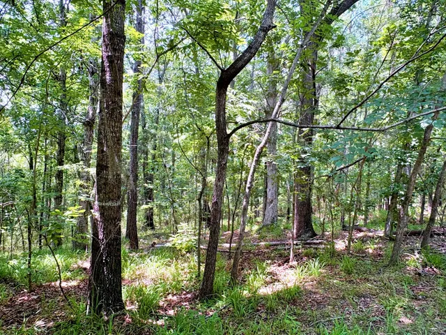 $1,280,500 | 7998 Kenwood Road, Greeleyville, SC 29056