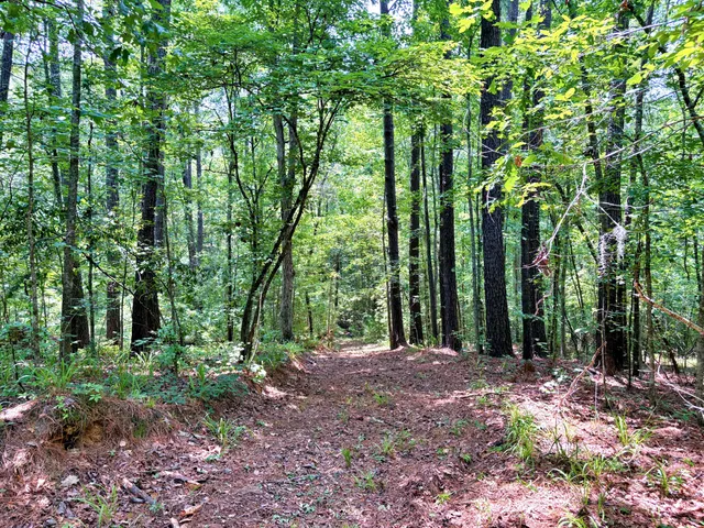 $1,280,500 | 7998 Kenwood Road, Greeleyville, SC 29056