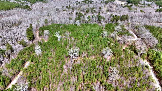 $1,280,500 | 7998 Kenwood Road, Greeleyville, SC 29056