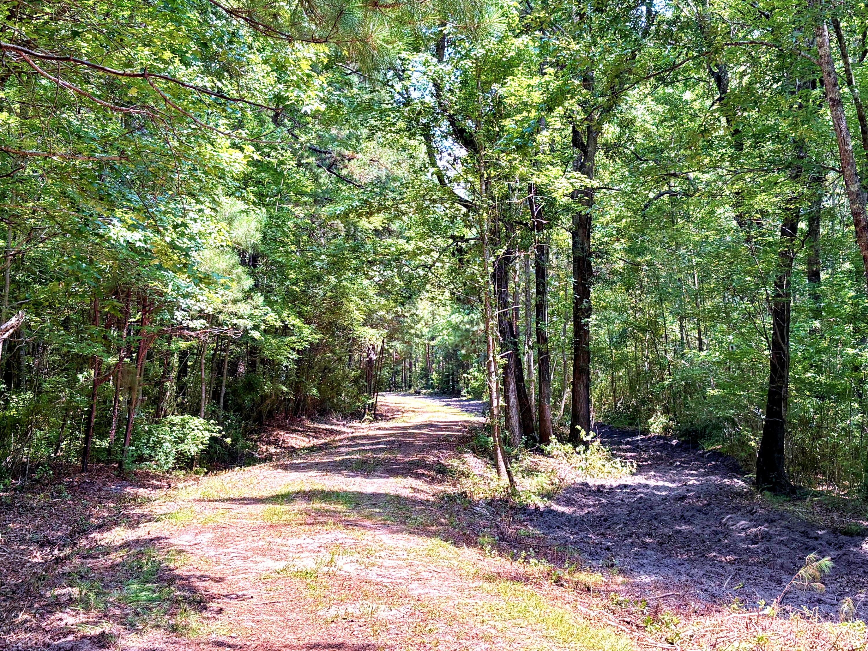 7998 Kenwood Road Greeleyville, SC 29056 - Photo 42 of 52 batch_IMG_0656