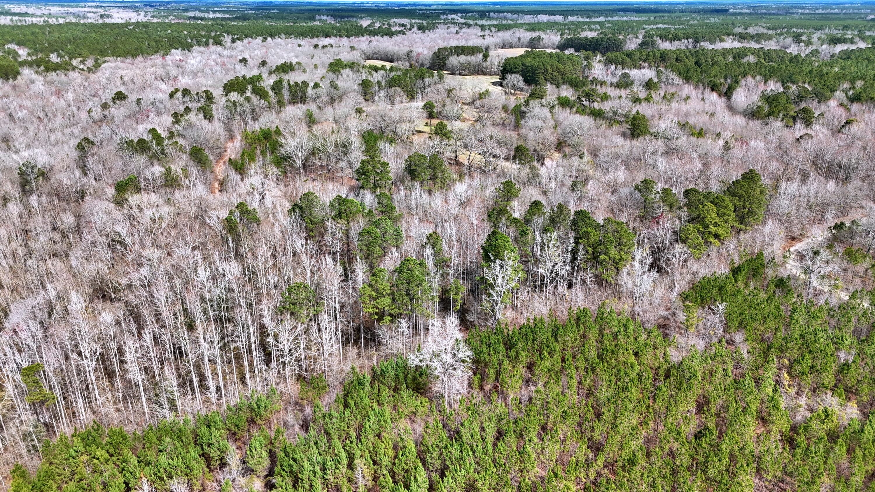 7998 Kenwood Road Greeleyville, SC 29056 - Photo 5 of 52 6