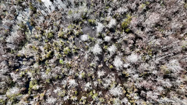 $1,280,500 | 7998 Kenwood Road, Greeleyville, SC 29056