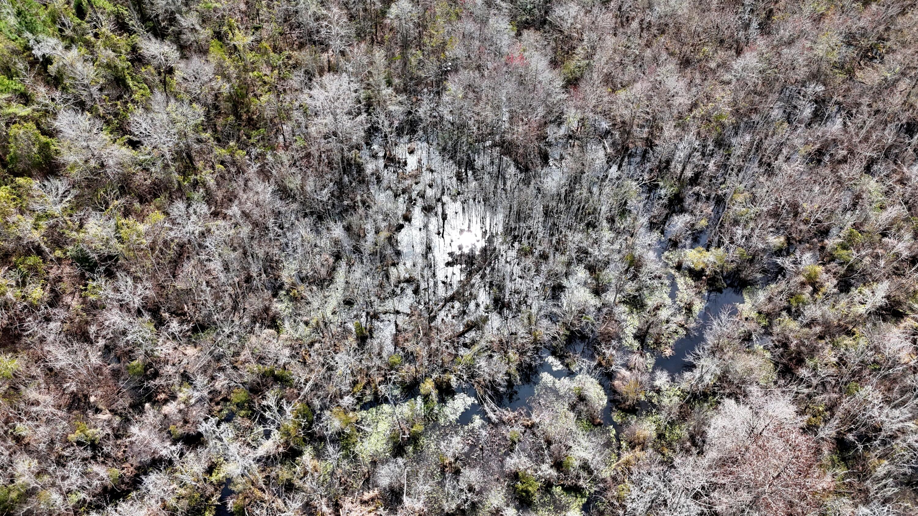 7998 Kenwood Road Greeleyville, SC 29056 - Photo 52 of 52 batchz_dji_fly_20250304_120340_0041_1741